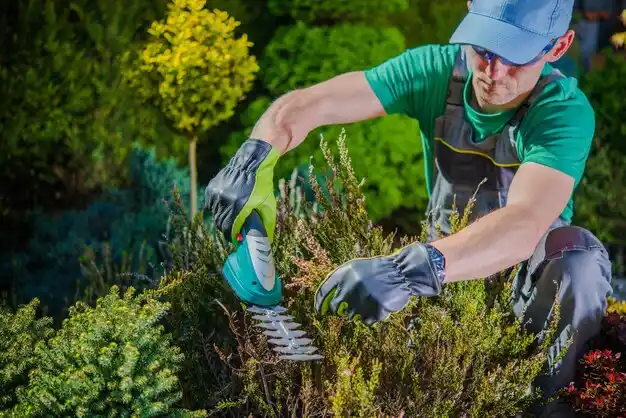 landscaping services Russells Point